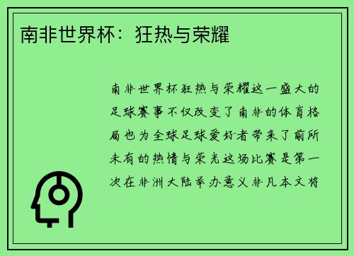 南非世界杯：狂热与荣耀