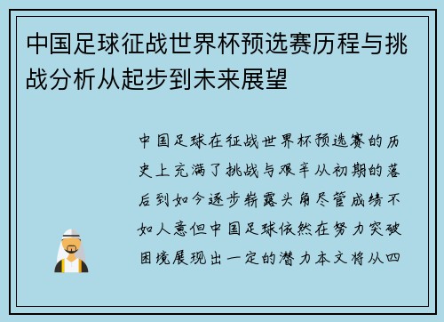 中国足球征战世界杯预选赛历程与挑战分析从起步到未来展望